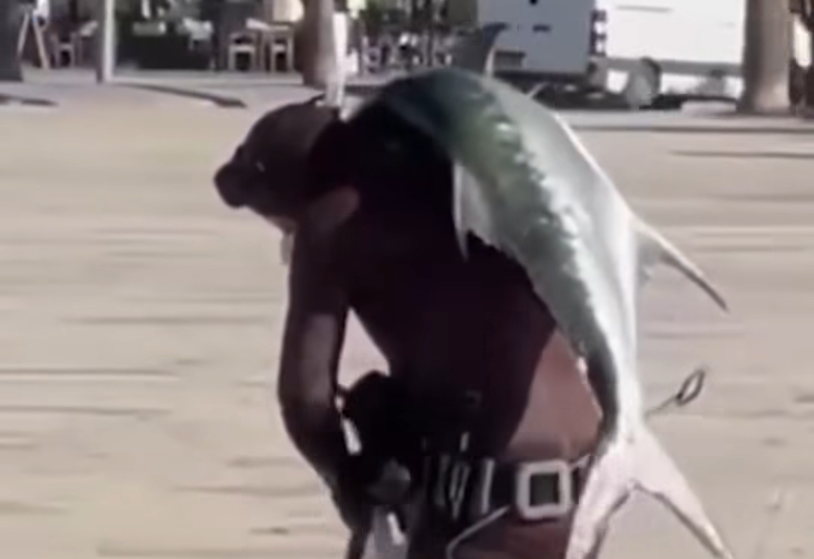 E rrallë në Vlorë/ Vlonjati kap peshkun ton, e merr në krahë dhe e çon në shtëpi 