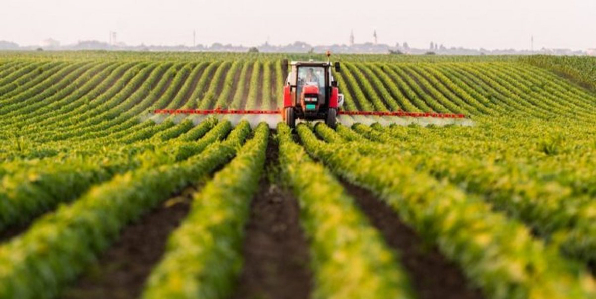 Eksportet bujqësore rritje me 7,4% në 9-mujorin 2025 