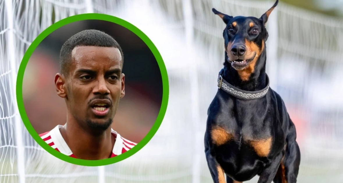 Sulmuesi i Liverpool Isak, bleu një ‘qen roje’ për 30 mijë stërlina pasi mori kërcënime me vdekje