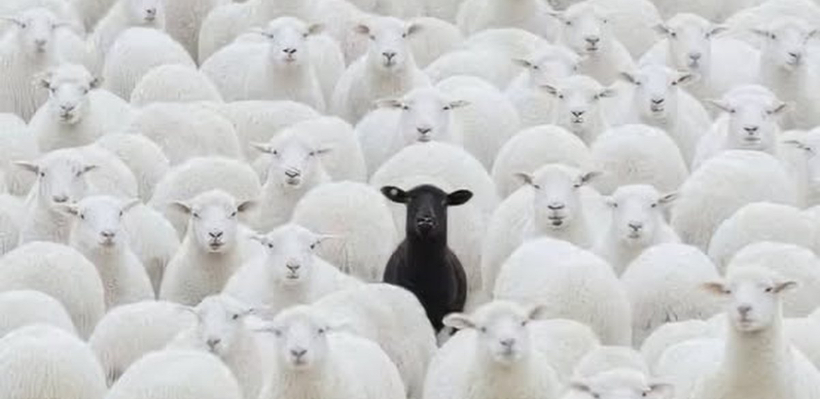 &#8220;Delja e zezë&#8221; është pjesë e tufës, por nuk është si ajo 