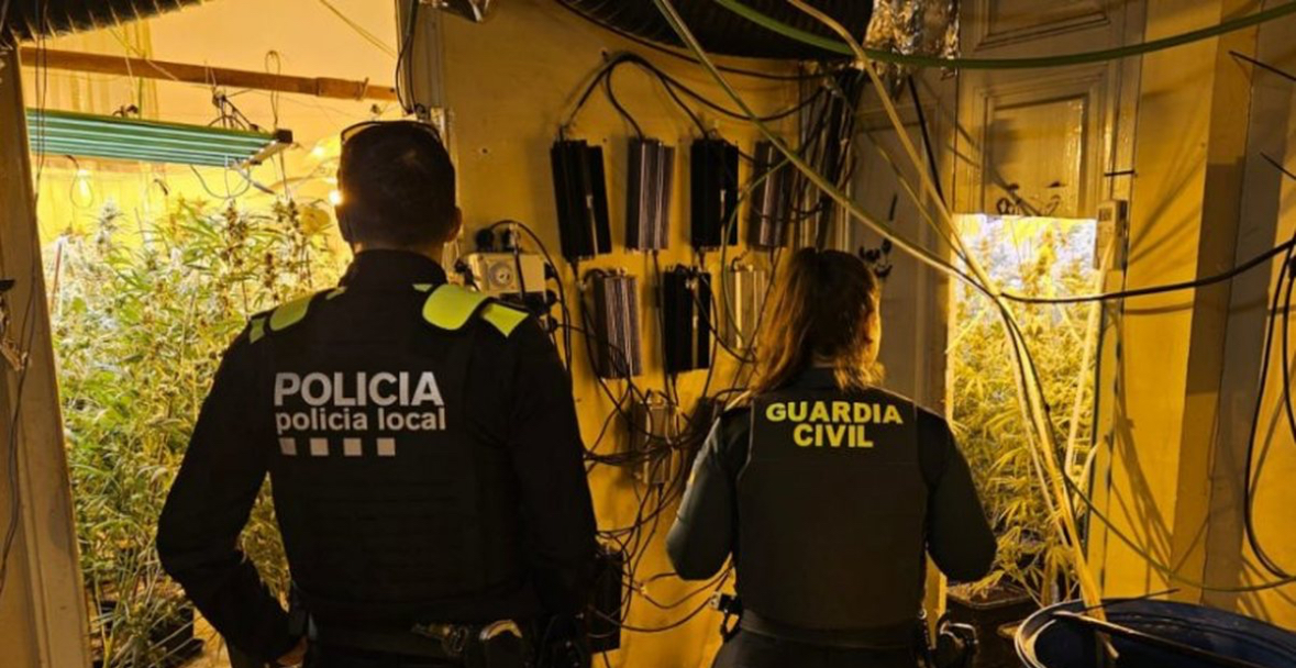 Spanjë/ Shkatërrohet plantacioni i kanabisit, prangoset i riu shqiptar 