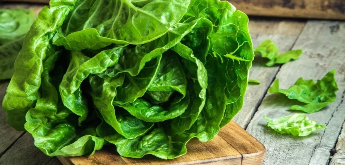 Miliona dollarë drogë gjendet në sallatë jeshile në kufirin SHBA-Meksikë 