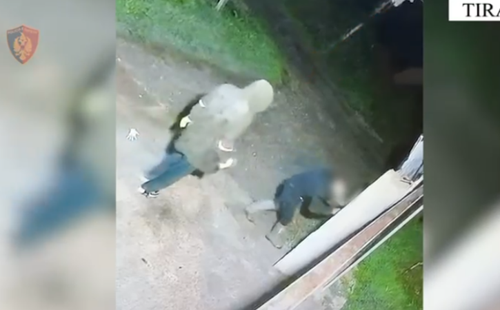 I shpallur në kërkim, grabit banesën në Vorë, arrestohet 38-vjeçari me bashkëpunëtorin