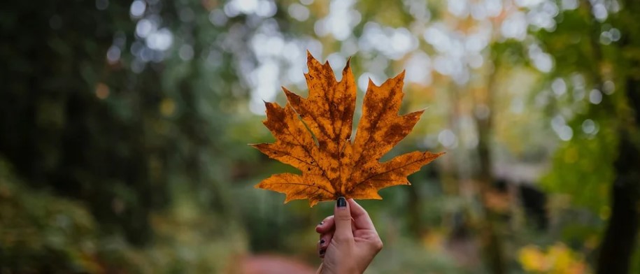 Humor i keq dhe mendime negative, këto janë 3 shenjat e horoskopit që përballen me ditë të vështira! Ja çfarë duhet të ndryshoni