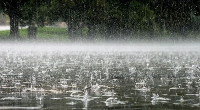 Parashikimi i motit, 11 nëntor 2025