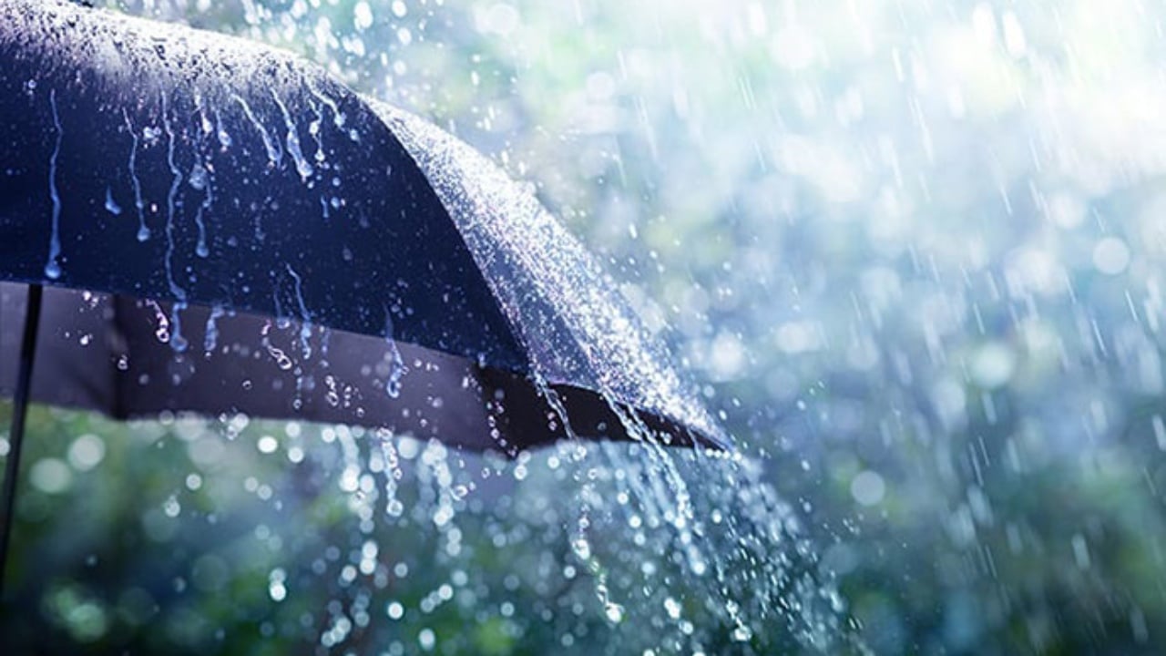 Parashikimi i motit, 26 nëntor 2025