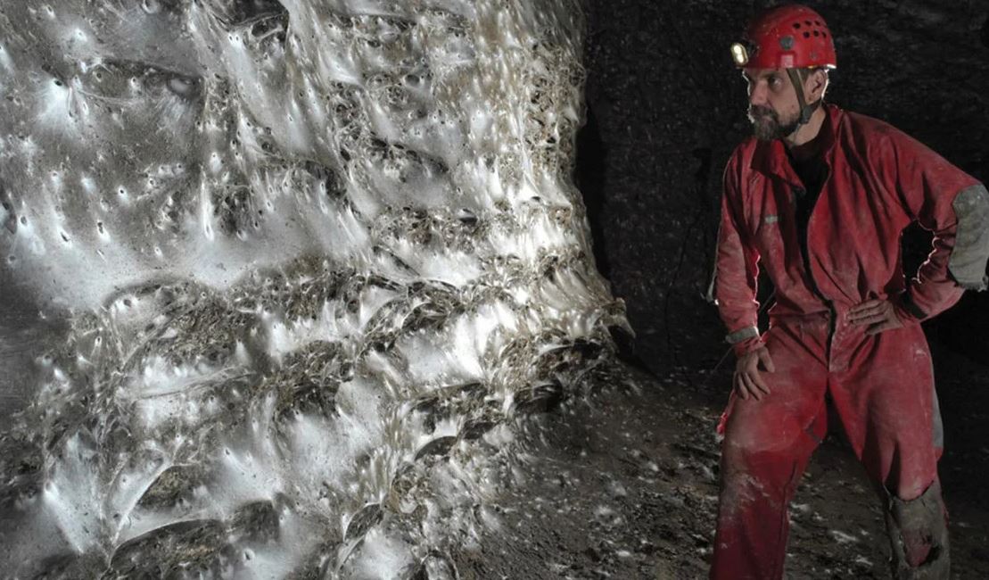 Zbulohet rrjeta e merimangës më e madhe në botë dhe ndodhet në kufirin shqiptaro-grek! 350 metra dhe mbi 11 mijë specie