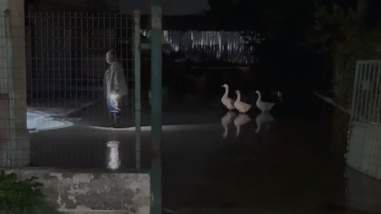 Rritet ndjeshëm niveli i lumit Vjosa, rrezikohet dalja nga shtrati