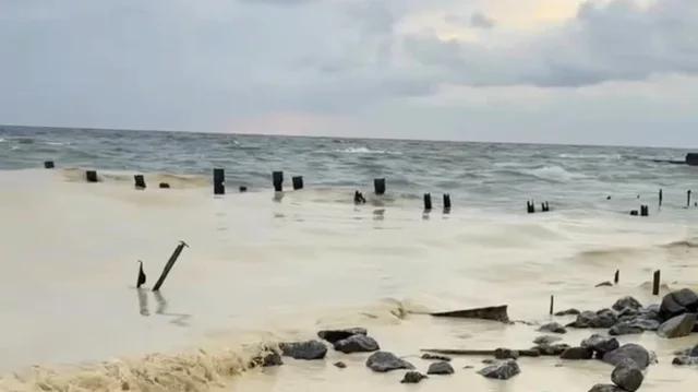 VIDEO/ Katastrofë ekologjike në Odesa! Pellgje vaji dhe zogj të ngordhur: sulmet ruse shkatërrojnë Portin, e shndërrojnë ujin në…
