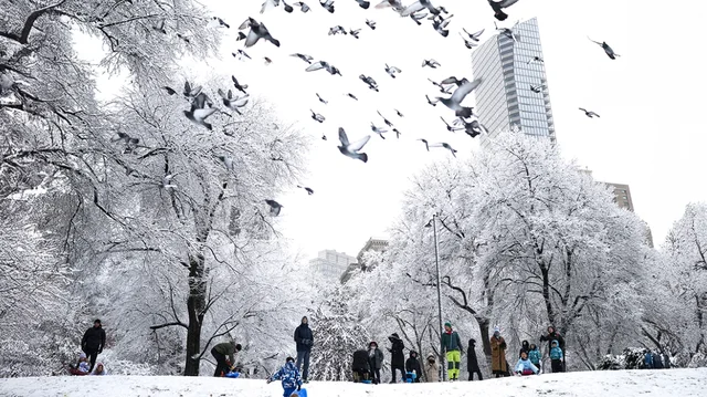 Stuhia e dëborës “ngrin” New Yorkun, anulohen mbi 1,600 fluturime