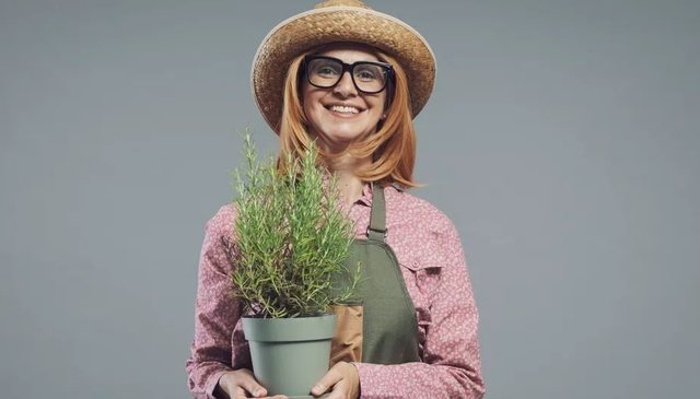 Bima aromatike që përmirëson kujtesën dhe lufton inflamacionin