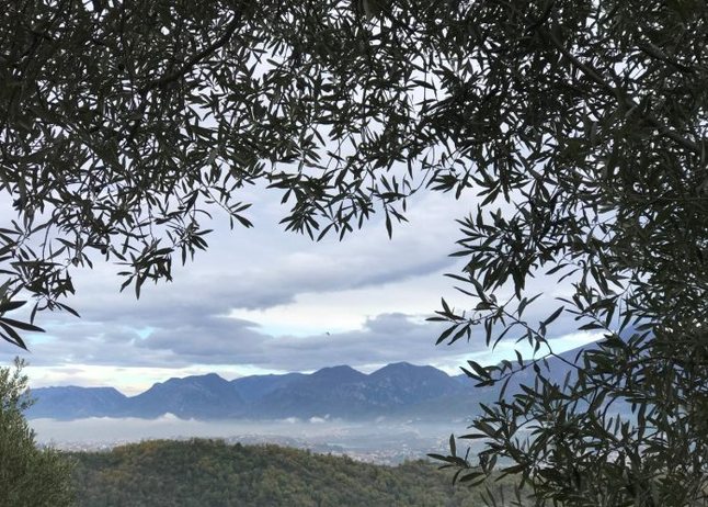 Parashikimi i motit, 5 dhjetor 2025