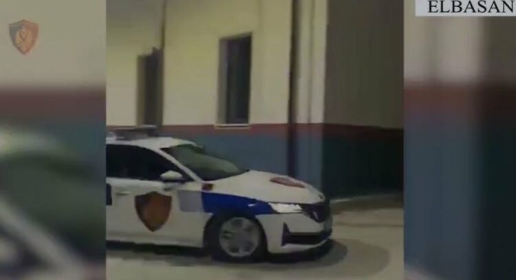 Vëllai godet me thikë vëllain