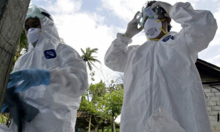 OBSH paralajmëron: “Supergripi” do të shkaktojë presion serioz mbi BE-në! Kulmin e arrin më…