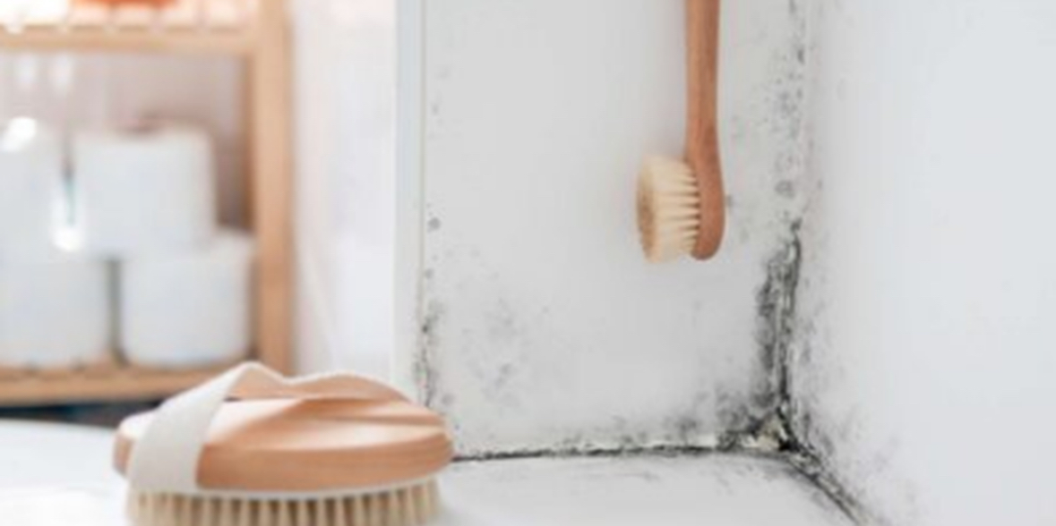 Duke përdorur një artikull nga shtëpia, mund të parandaloni formimin e mykut në llaçin e banjës 