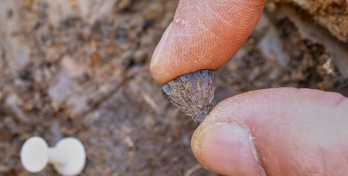 Zbulimi: Njerëzit e ndezën zjarrin 350.000 vjet më herët nga sa mendohej