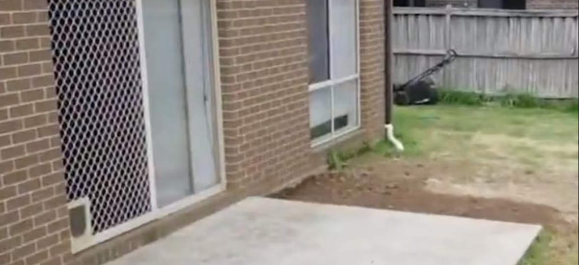 Zbulim makabër në Australi/ Gjenden eshtrat e një fëmije shqiptar të varrosur në oborr