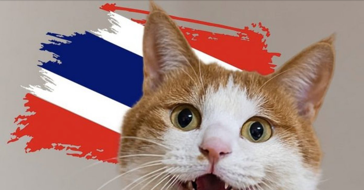 Macet shpallen zyrtarisht simbole kombëtare në Tajlandë 