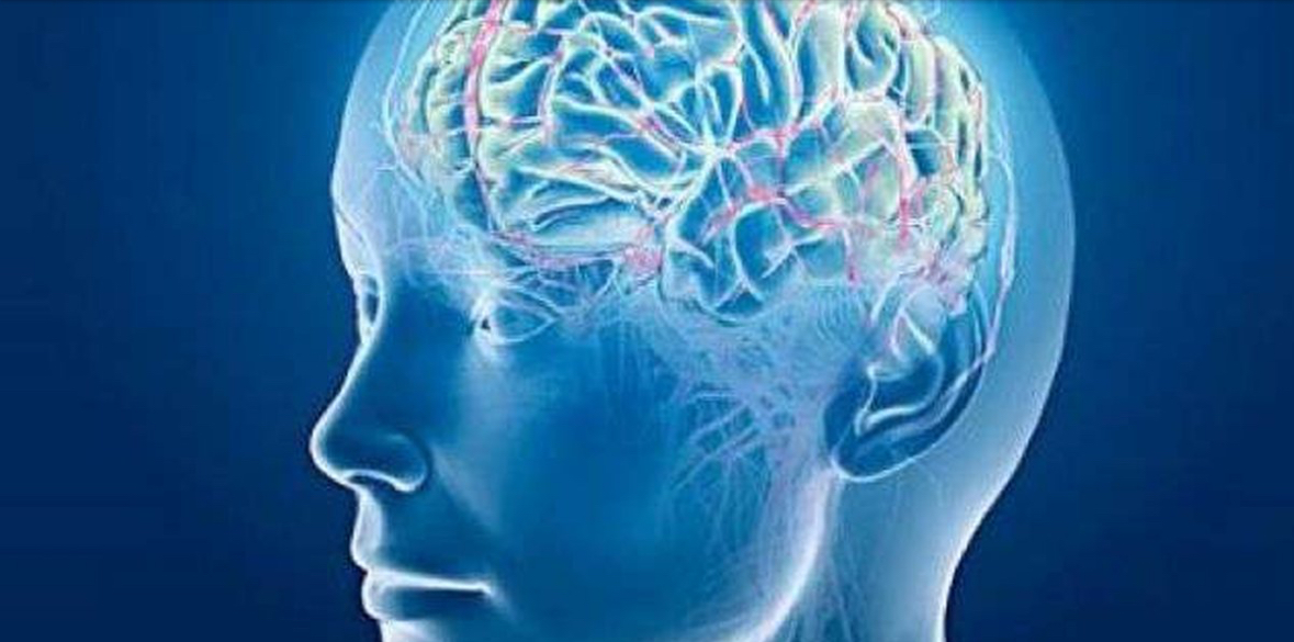 Shkenca rrëzon mitin e moshës 18? Truri i njeriut nuk piqet plotësisht deri në moshën… 