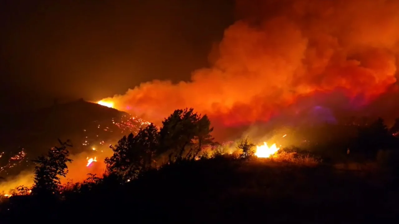 Ministria e Mbrojtjes: 191.5 milionë lekë të vendosura në dispozicion për 10 bashki për dëmet nga zjarret