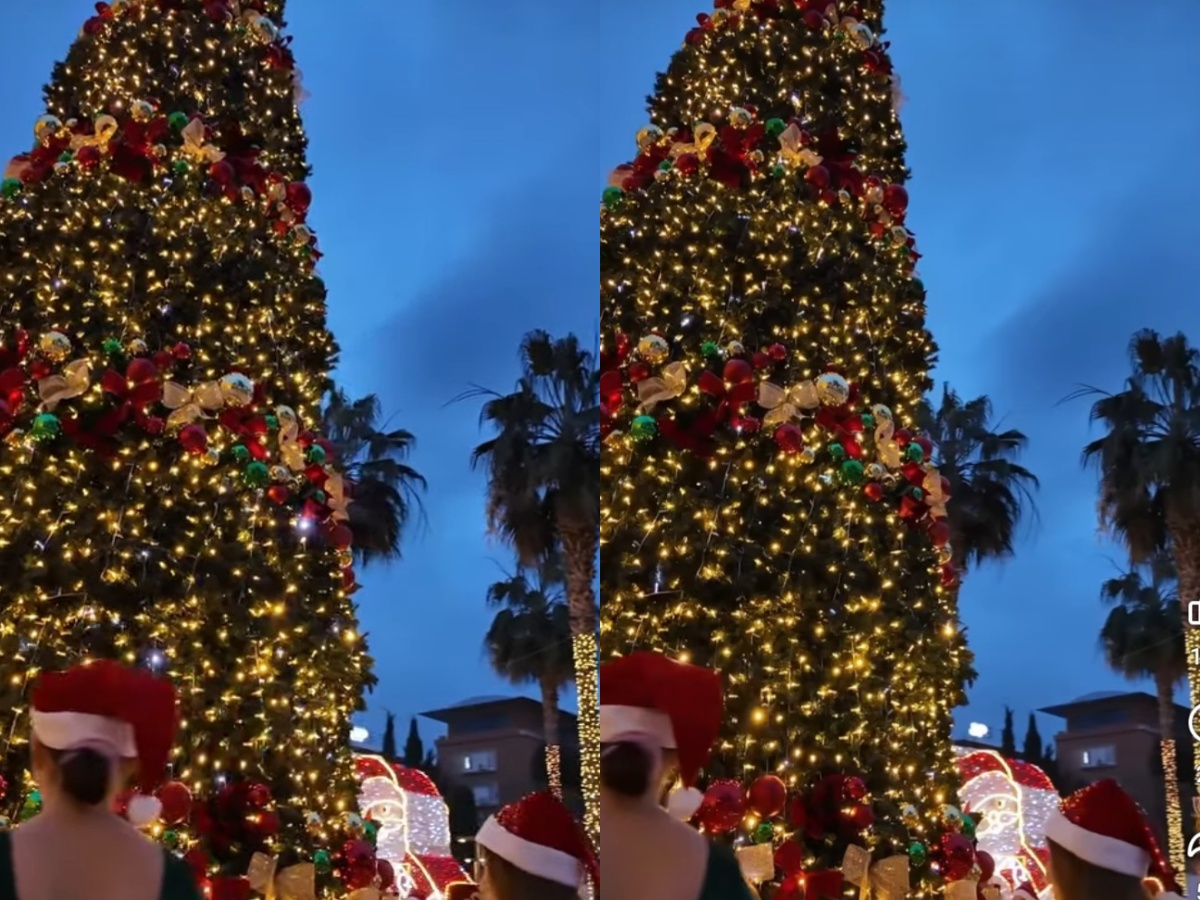 Kryebashkiakja Sako uron Krishtlindjen: Paqe, shëndet dhe solidaritet për të gjithë