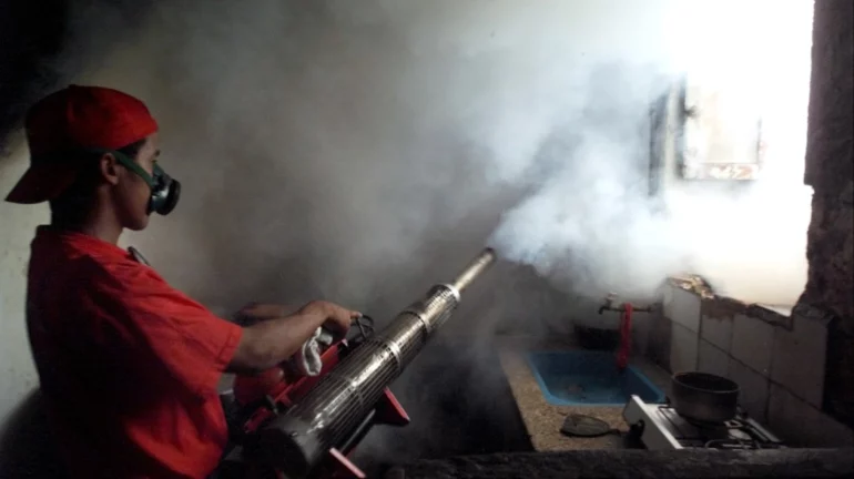 Epidemitë e përhapura nga mushkonjat, raportohet për më shumë se 30 viktima në Kubë