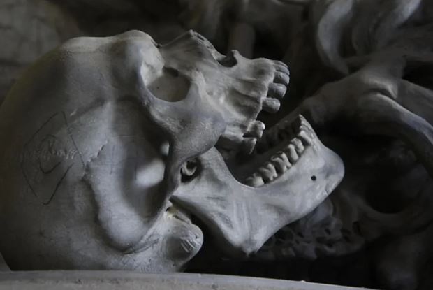 Studimi i ri përmbys gjithçka që dinim për origjinën e Homo sapiens: Afrika Jugore fsheh misterin e madh