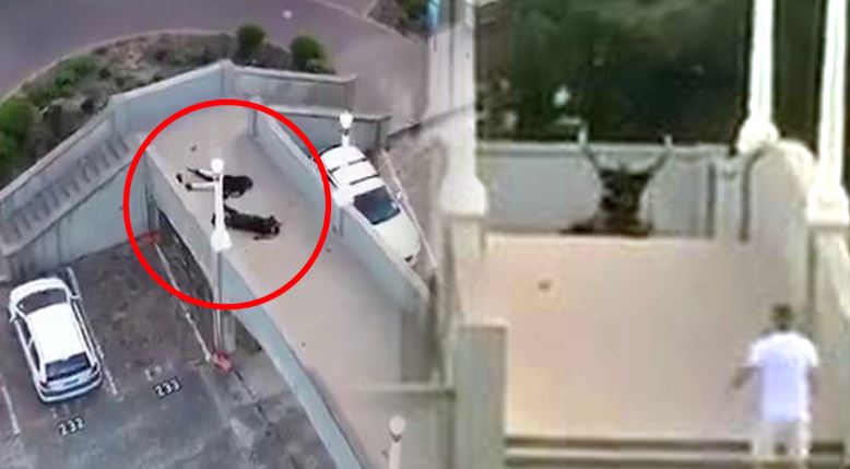 VIDEO/ Momentet kur policia australiane neutralizon dy autorët mbi urë