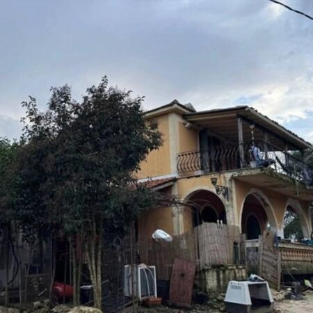 Pitbulli i hëngri djalin 2 vjeç, flet babai shqiptar: Më pa, më buzëqeshi dhe mbylli sytë!