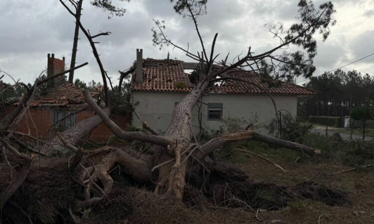“Sikur na ka goditur një bombë”/ Stuhia ‘Christine’, thellohet bilanci i viktimave nga moti i keq në Portugali