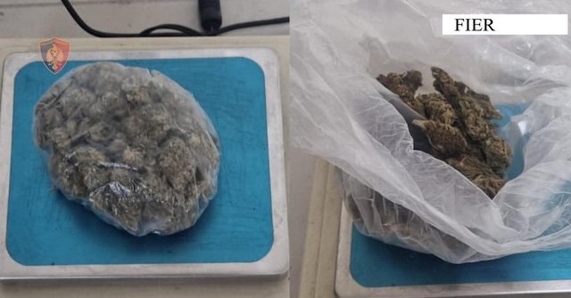Goditet një rast i shitjes së lëndëve narkotike/ Tregtonte kanabis të ndarë me doza, arrestohet 49-vjeçari