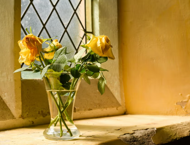 Si ta forconi sistemin imunitar në 7 ditë