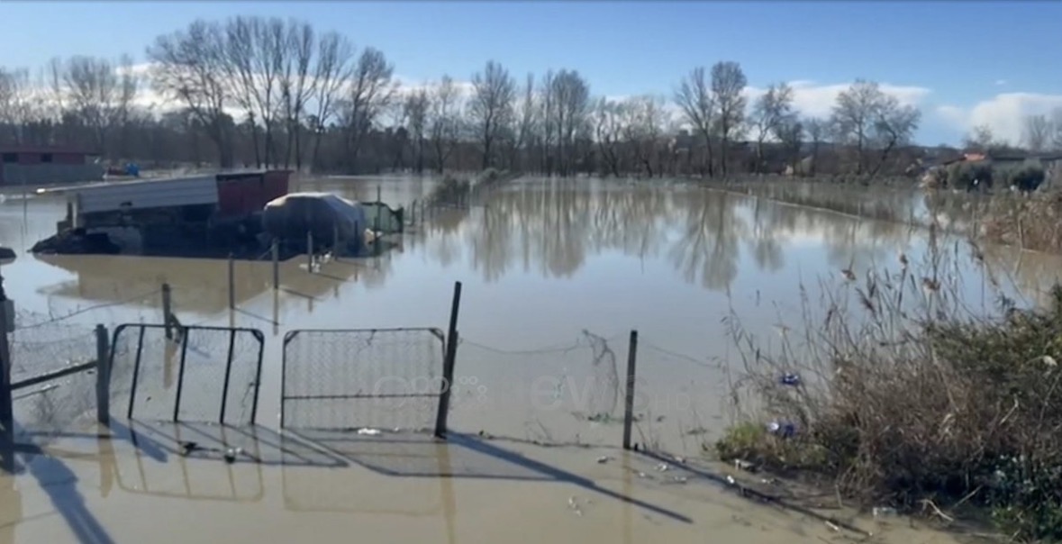 Lumi i Semani del nga shtrati/ Përmbytet fshati i Murrizit në Lushnjes, banorët qendrojnë jashtë shtëpive të frikësuar 