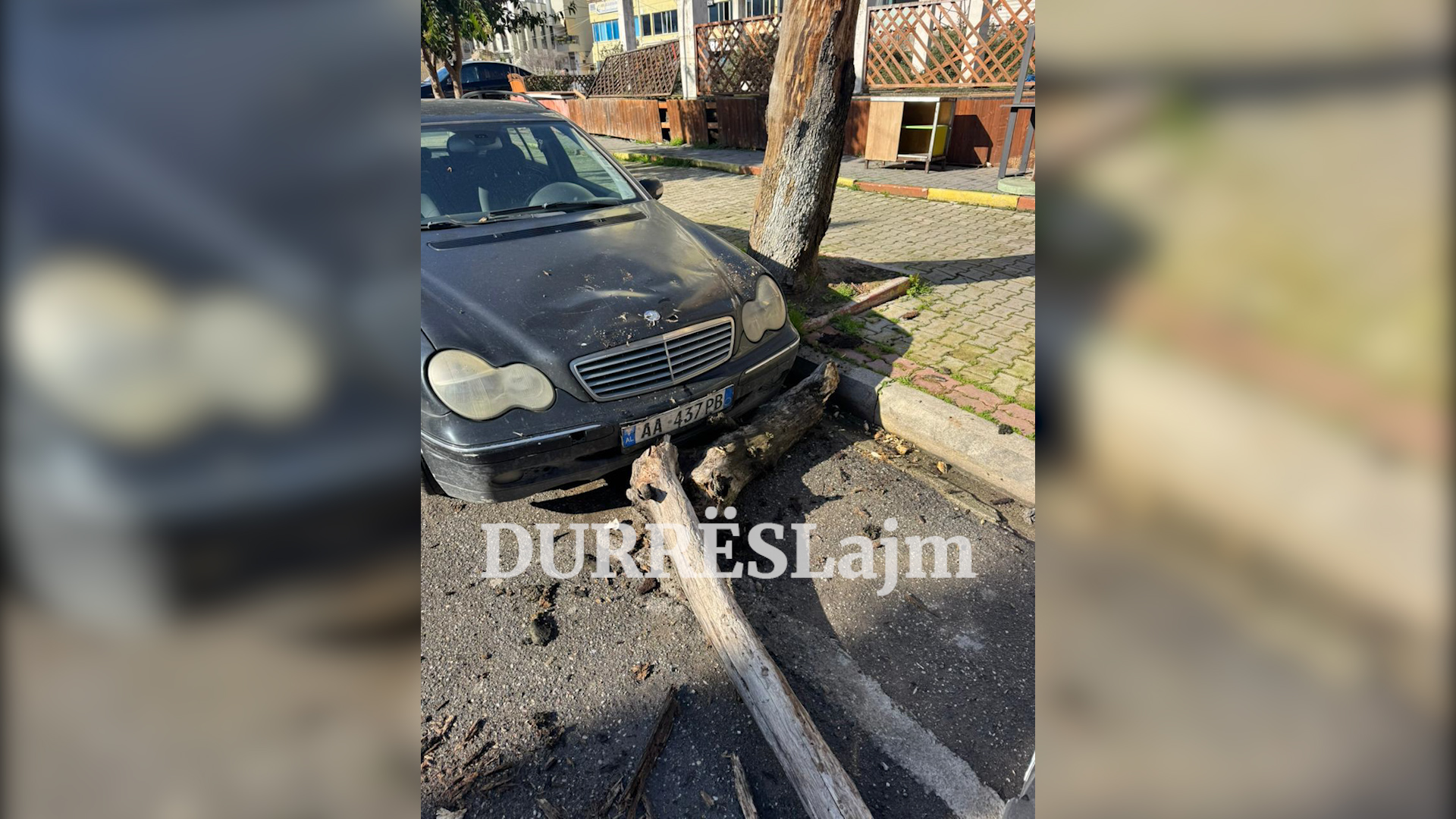 Këputet dega e pemës dekorative, dëmtohet makina në qendër të Durrësit (VIDEO)