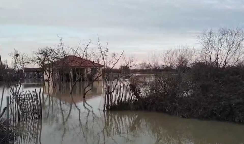 Çahet argjinatura e lumit Seman, përmbyten banesa dhe toka bujqësore!