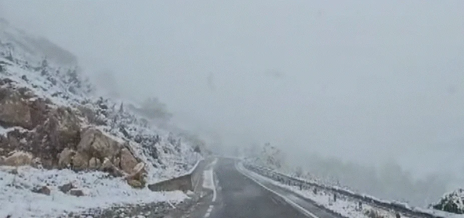 Reshjet e dëborës në Qarkun e Shkodrës, Prefektura: Qarkullimi vijon normalisht, po monitorojmë situatën