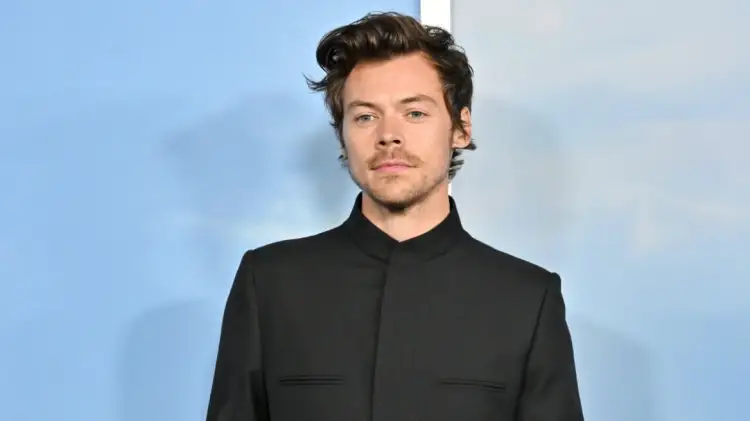 Fansat sulmojnë Harry Styles për biletat e turneut: Je lakmitar dhe i shkëputur nga realiteti