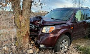 Shoferi i dehur përplaset me pemën, humb jetën pasagjeri 21-vjeçar në Elbasan