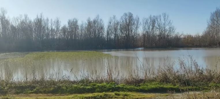 Qindra hektarë tokë bujqësore të përmbytura në Lushnjë, uji nuk largohet nga gjashtë fshatra