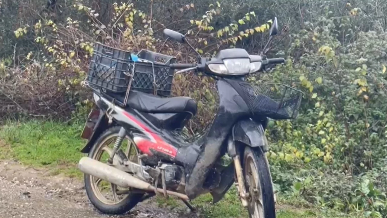 Aksident i rëndë në Lushnjë, humb jetën 70-vjeçari