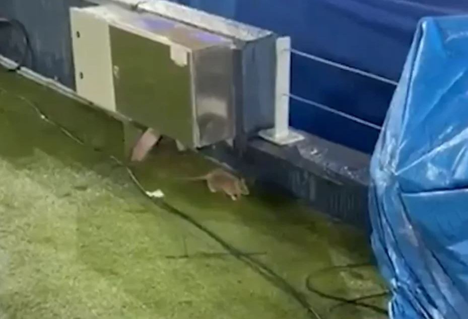 Minjtë shëtitje në stadiumin e Barcelonës