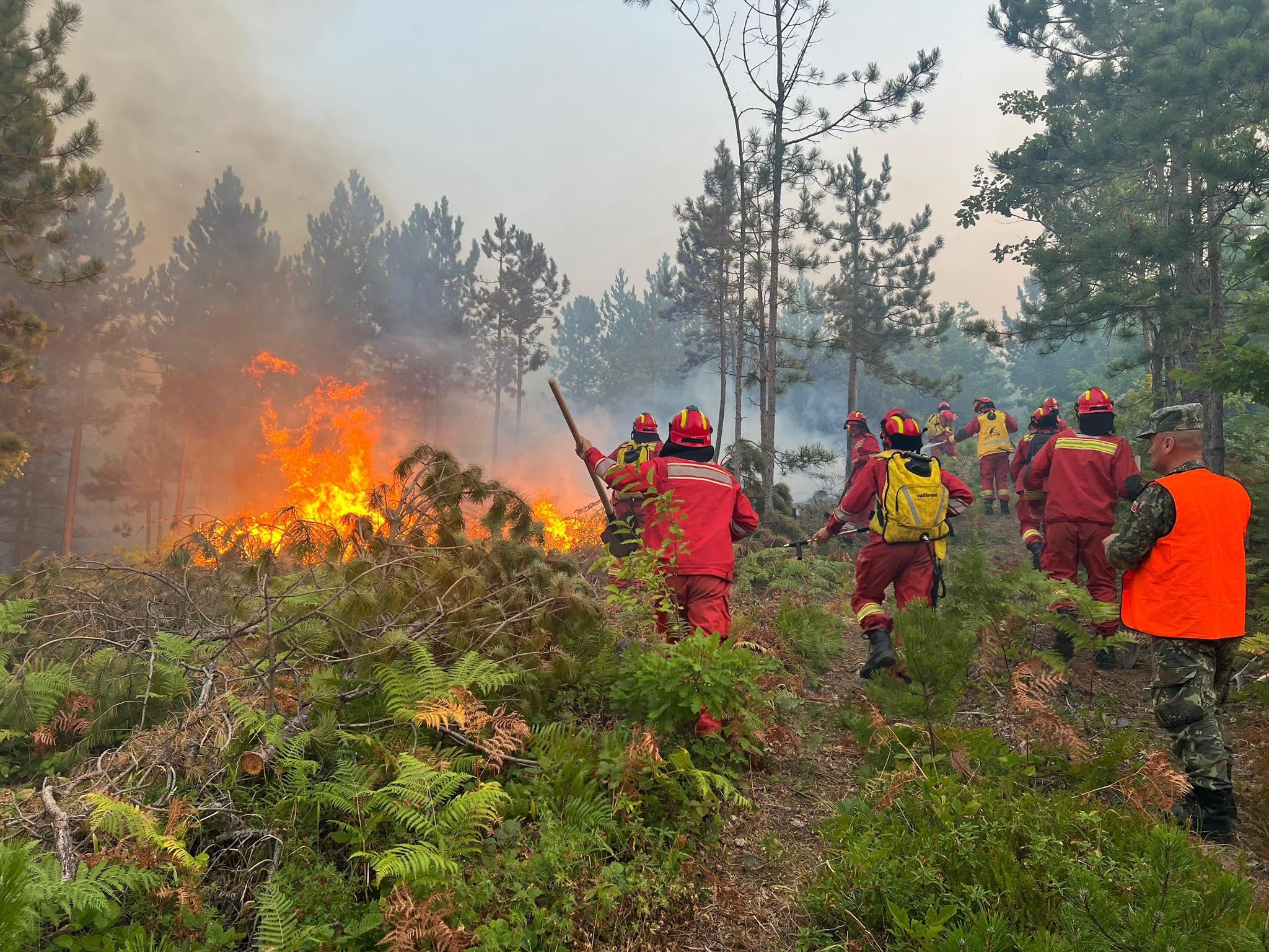 Zjarret gjatë verës, mbi 345 milionë lekë dëmshpërblime do të shpërndahen për 15 bashkitë e prekura