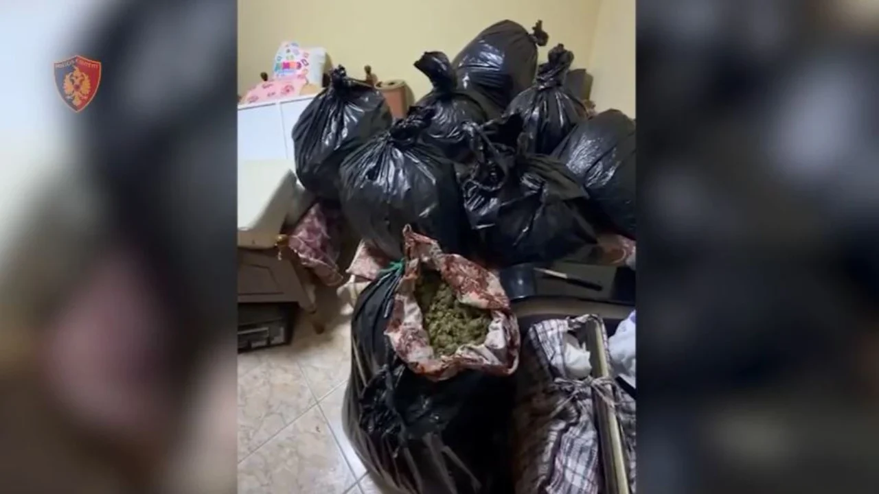 Prodhim dhe shitje lëndësh narkotike, arrestohen dy persona në Vlorë, sekuestrohen 57 kg kanabis