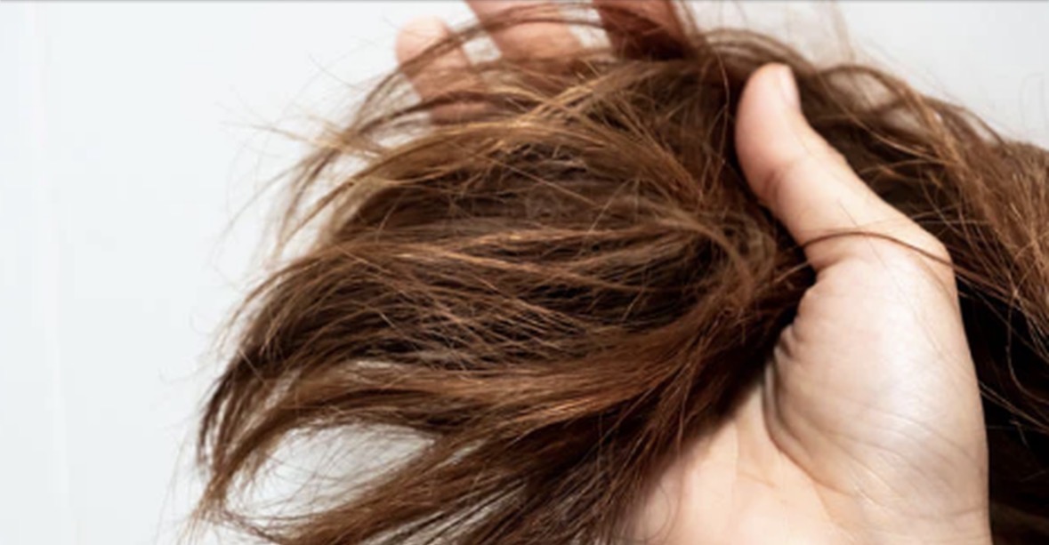 Si të kuptosh porozitetin e flokëve dhe të krijosh një rutinë të shëndetshme për to 