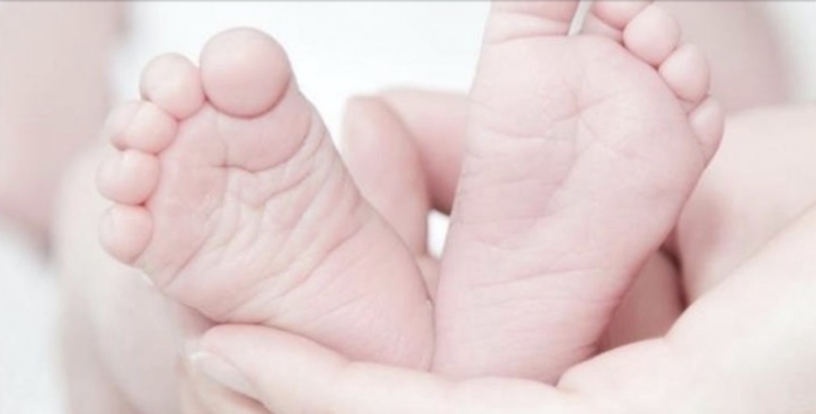 11 Qarke me rënie të lindjeve/ Tirana lokomotiva demografike, Fieri dhe Gjirokastra në bilanc negativ