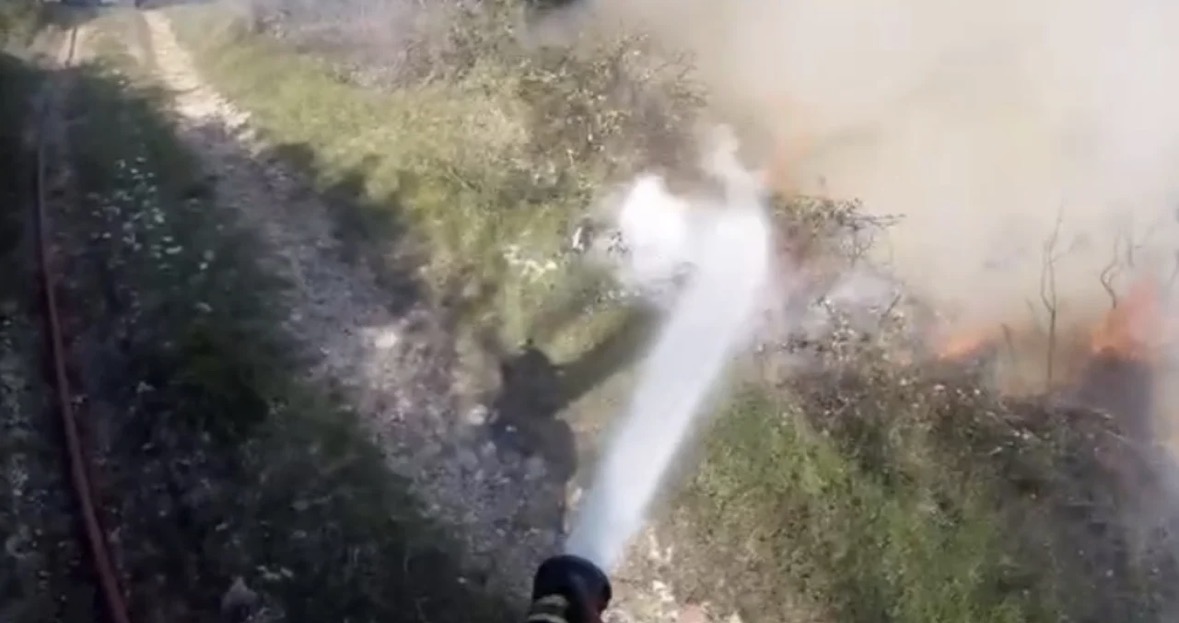 Zjarri në fshatin Risili të Vlorës djeg disa rrënjë ullinjsh, dyshohet i qëllimshëm