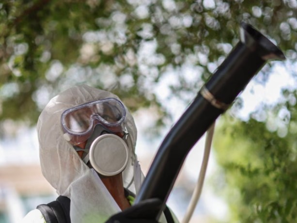 Shkencëtarët ngrenë alarmin: Një sëmundje tropikale torturuese mund të transmetohet në pjesën më të madhe të Evropës