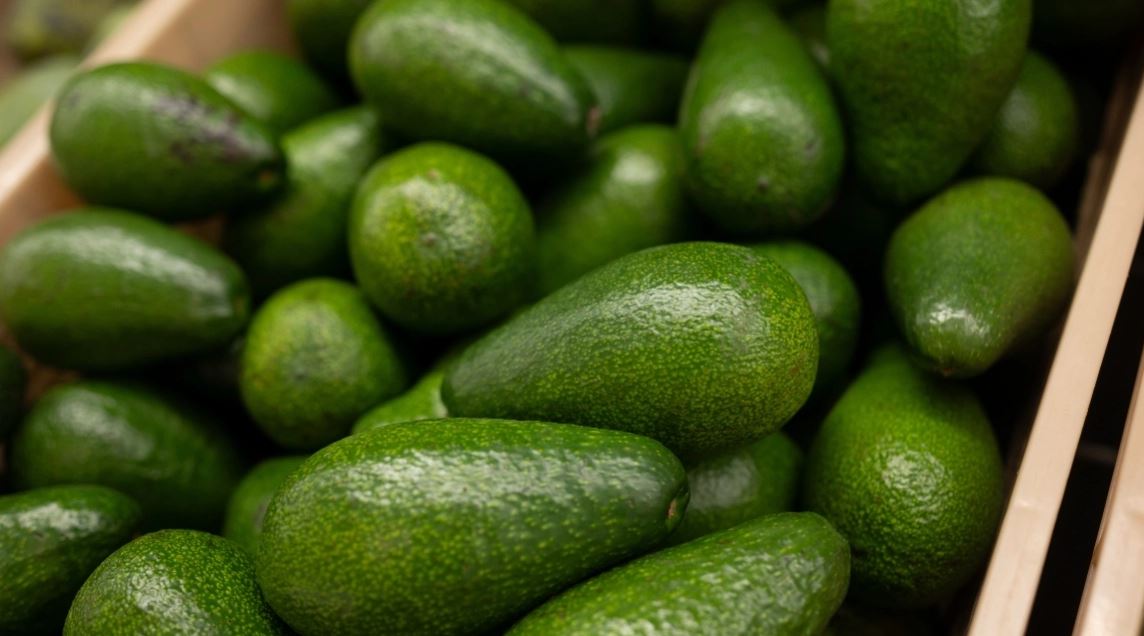 Alarm në tregjet evropiane për avokadot kolumbiane, rezultojnë me nivele të larta të kadmiumit! Edhe BE e konfirmon: Rrezik serioz!