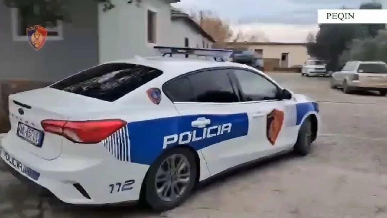 Dyshohet se goditi nxënësin në oborrin e shkollës, procedohet mësuesi në Peqin