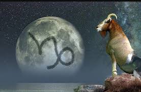 A është Bricjapi vërtet i ftohtë? Ana e fshehur që askush nuk e pret